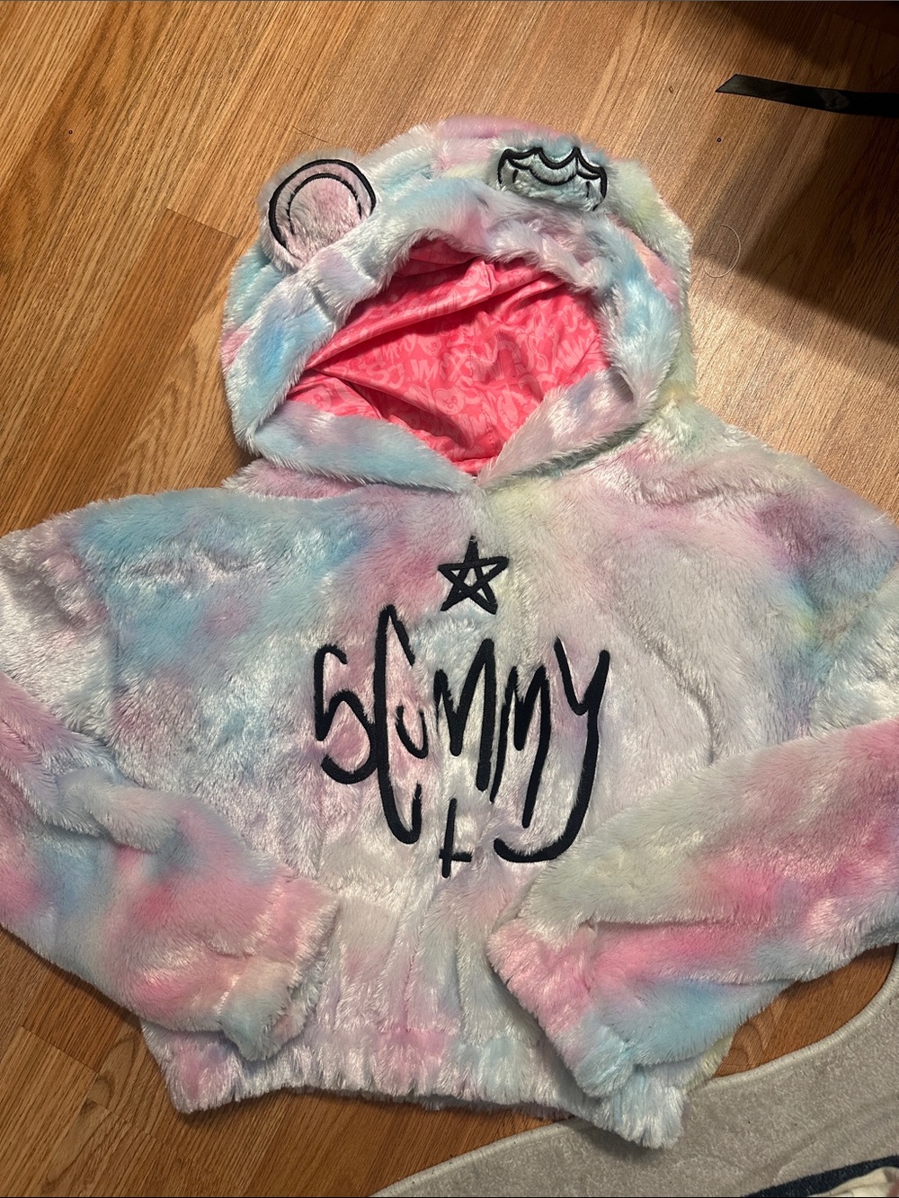 Scummy Bears cropped Rainbow Hoodie